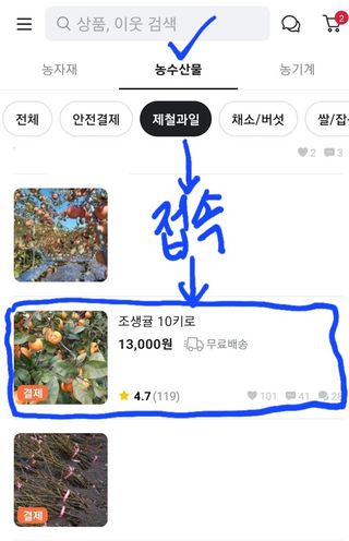 장영수님의 귤 · 시세•판로 작성글 사진