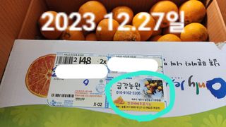 장영수님의 귤 · 시세•판로 작성글 사진