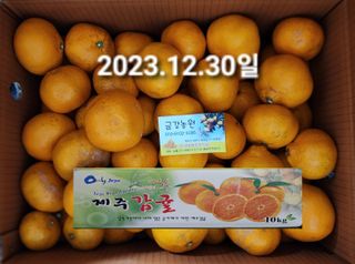 장영수님의 귤 · 시세•판로 작성글 사진