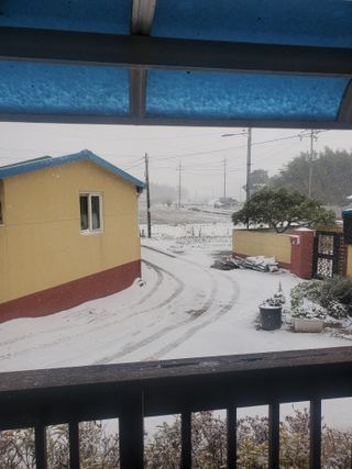 코지뱅이김영선님의 마늘 · 영농일지 작성글 사진