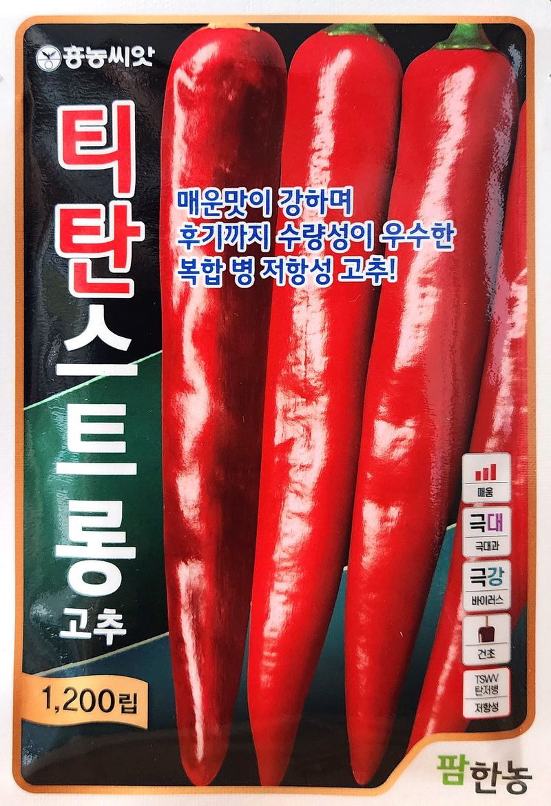 안산제일농약사님의 장터 판매 상품 [티탄스트롱고추씨앗 1200립] 첨부 사진