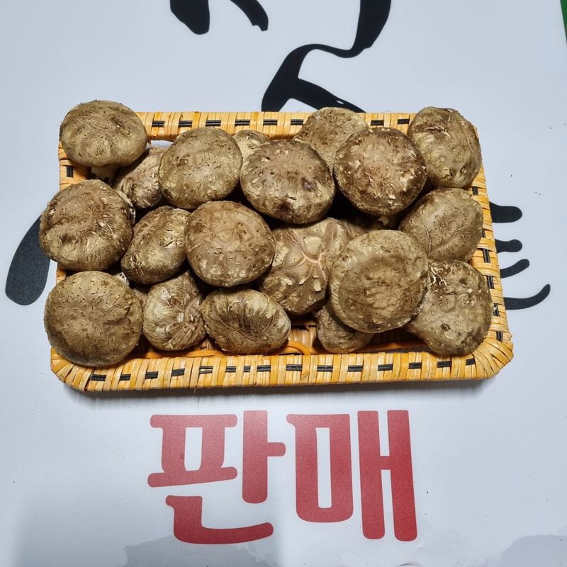천석한님의 장터 판매 상품 [생표고버섯 1kg] 첨부 사진