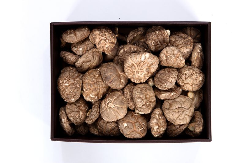 천석한님의 장터 판매 상품 [생표고버섯 1kg] 첨부 사진