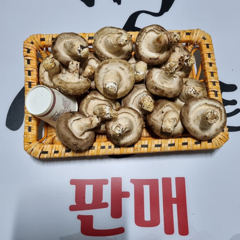 천석한님의 장터 판매 상품 [생표고버섯 1kg] 첨부 사진