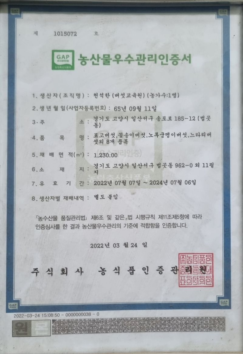 천석한님의 장터 판매 상품 [생표고버섯 1kg] 첨부 사진