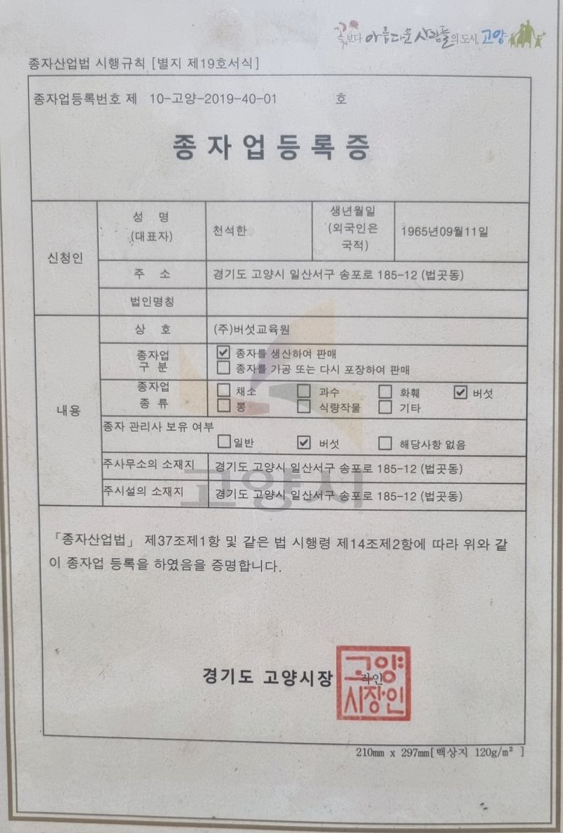 천석한님의 장터 판매 상품 [생표고버섯 1kg] 첨부 사진