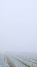 팜모닝 연말결산 자랑하기·참여글 게시글 이미지