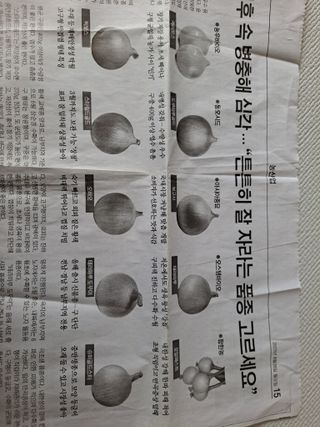 박미스터님의 사과 · 품종•종자 작성글 사진