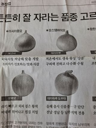 박미스터님의 사과 · 품종•종자 작성글 사진