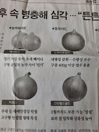 박미스터님의 사과 · 품종•종자 작성글 사진