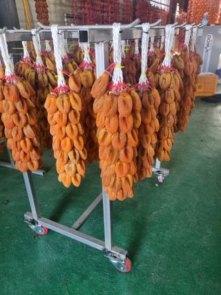 사과와곶감님의 감 · 자유게시판 작성글 사진