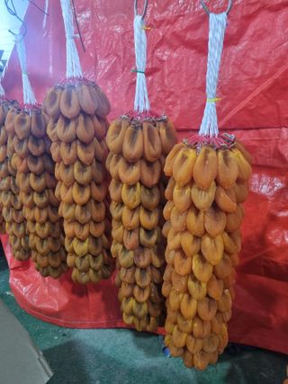 사과와곶감님의 감 · 자유게시판 작성글 사진