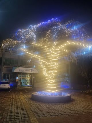 사과와곶감님의 감 · 자유게시판 작성글 사진