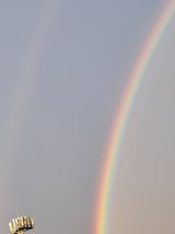 팜모닝 팜모닝에서 기억에 남은 것은?·참여글 게시글 이미지