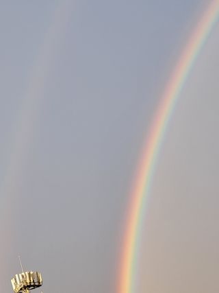 김혜숙님의 팜모닝에서 기억에 남은 것은? · 참여글 작성글 사진