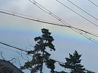 김혜숙님의 팜모닝에서 기억에 남은 것은? · 참여글 작성글 사진