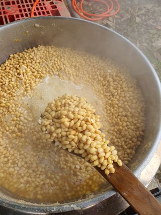 엘림농장님의 장터이야기 · 자유게시판 작성글 사진