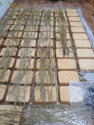 엘림농장님의 장터이야기 · 자유게시판 작성글 사진