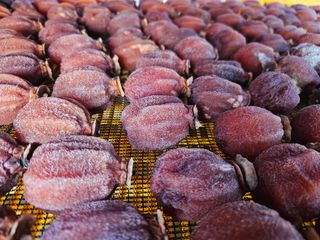 백용기님의 장터이야기 · 자유게시판 작성글 사진