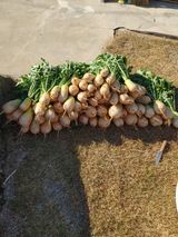 팜모닝 팜모닝에서 기억에 남은 것은?·참여글 게시글 이미지