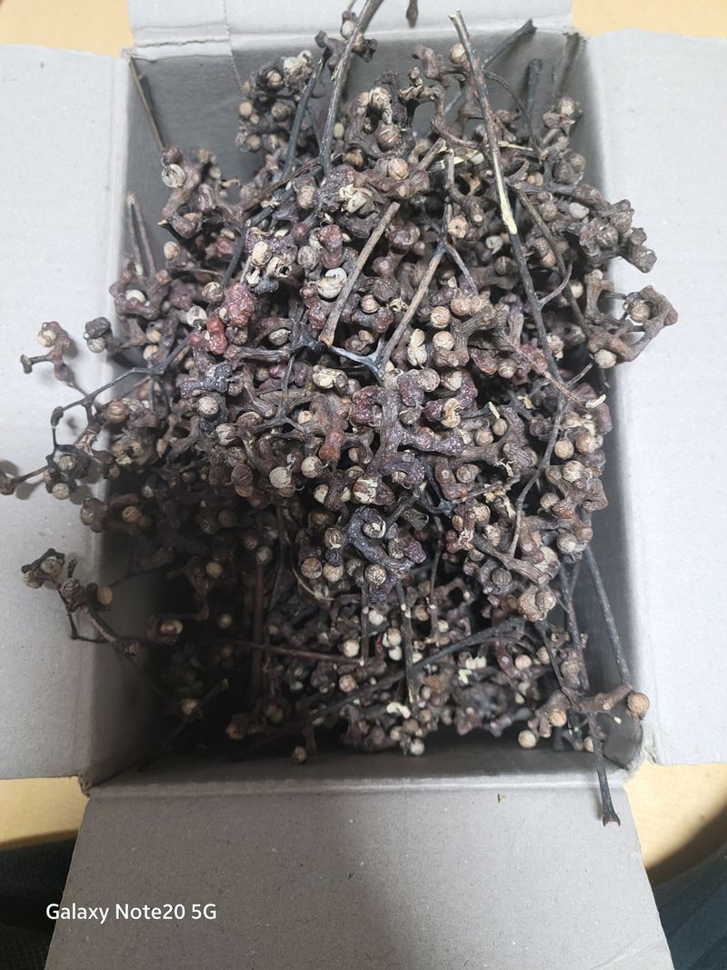 장터 상품 [헛개1kg] 썸네일