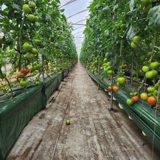 미소팜님의 작성글 사진