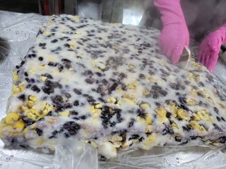 정권옥님의 옥수수 · 자유게시판 작성글 사진