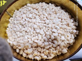 정권옥님의 옥수수 · 자유게시판 작성글 사진