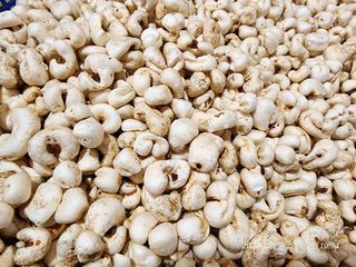 정권옥님의 옥수수 · 자유게시판 작성글 사진