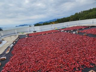 고추농사 정 미라님의 팜모닝에서 기억에 남은 것은? · 참여글 작성글 사진