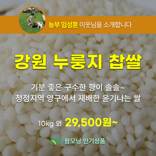 팜모닝 장터님의 장터이야기 · 공지 작성글 사진