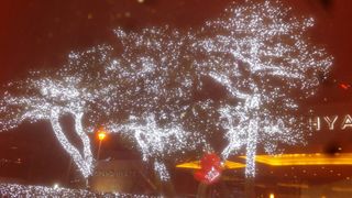 김익중님의 자유주제 · 자유게시판 작성글 사진