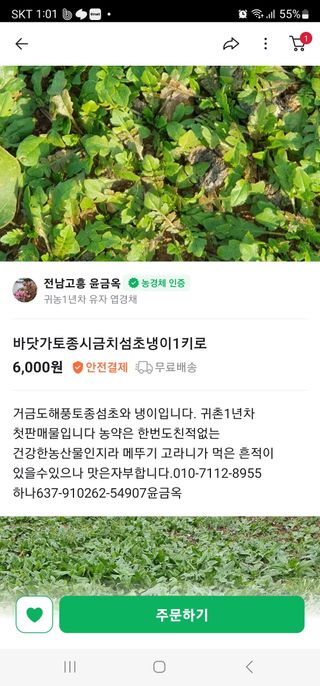 권지연.옥천.님의 장터이야기 · 자유게시판 작성글 사진