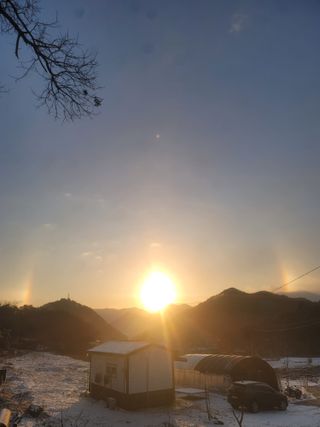 쨍하고해뜨는농원님의 자유주제 · 자유게시판 작성글 사진