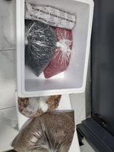 팜모닝 자유주제·자유게시판 게시글 이미지