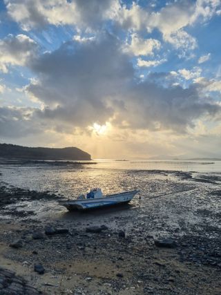 해풍맞은 맛있는 감님의 우리동네 · 동네자랑 작성글 사진
