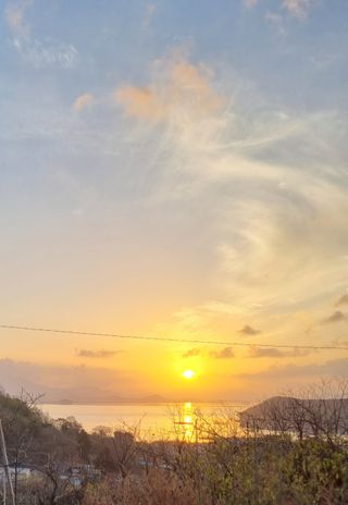 해풍맞은 맛있는 감님의 우리동네 · 동네자랑 작성글 사진