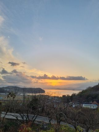 해풍맞은 맛있는 감님의 우리동네 · 동네자랑 작성글 사진