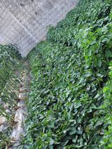 팜모닝 자유주제·자유게시판 게시글 이미지