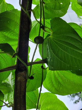 귤8367님의 자유주제 · 자유게시판 작성글 사진