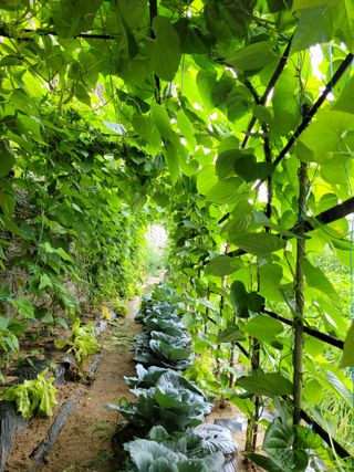 귤8367님의 자유주제 · 자유게시판 작성글 사진