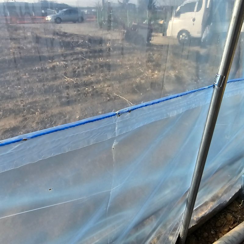 한농농약종묘사님의 장터 판매 상품 [하우스 치마비닐 한끈장수 0.1mm 100cm 100m] 첨부 사진