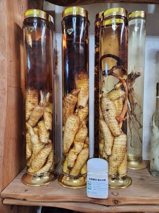 산약초농원님의 자유주제 · 자유게시판 작성글 사진