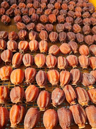 백용기님의 장터이야기 · 자유게시판 작성글 사진