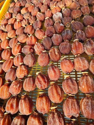 백용기님의 장터이야기 · 자유게시판 작성글 사진