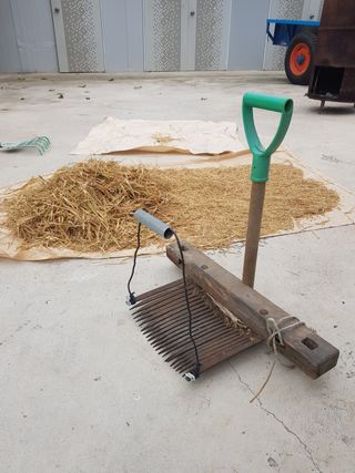 명황성님의 벼 · 자유게시판 작성글 사진