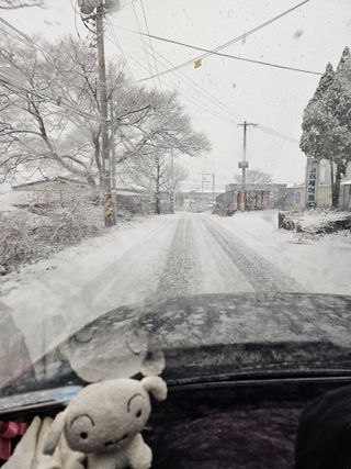 원머루 강낙도님의 자유주제 · 자유게시판 작성글 사진