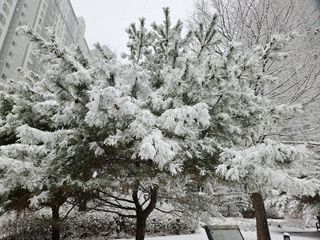 이병옥님의 팜모닝에서 기억에 남은 것은? · 참여글 작성글 사진