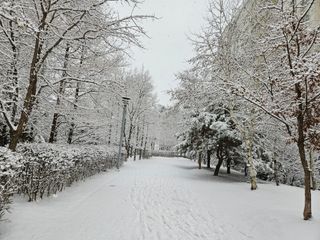 이병옥님의 팜모닝에서 기억에 남은 것은? · 참여글 작성글 사진