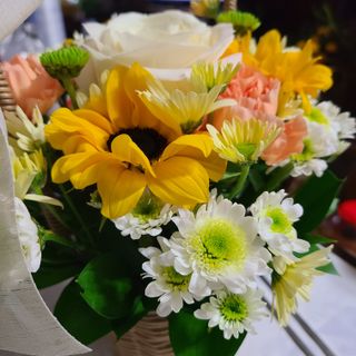 knlee님의 자유주제 · 자유게시판 작성글 사진